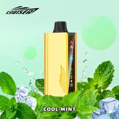 Cool Mint - JNR Cruiser Gold 12K